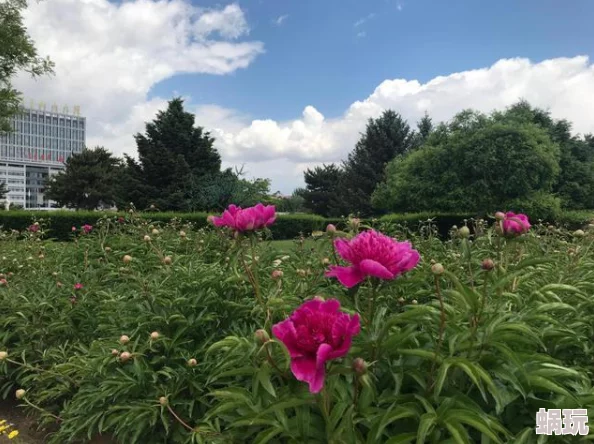 六月丁香综合网夏季旅游热潮来袭各大景区人流如织