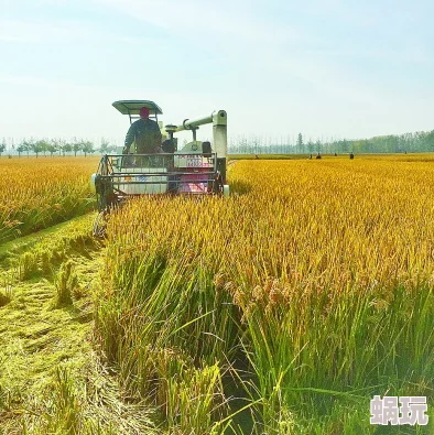 《模拟农场25》农作物燕麦特点介绍及高效种植新攻略