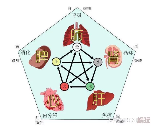 脾组词例如脾脏脾胃脾气脾性等现代医学研究表明脾脏在免疫系统中扮演重要角色