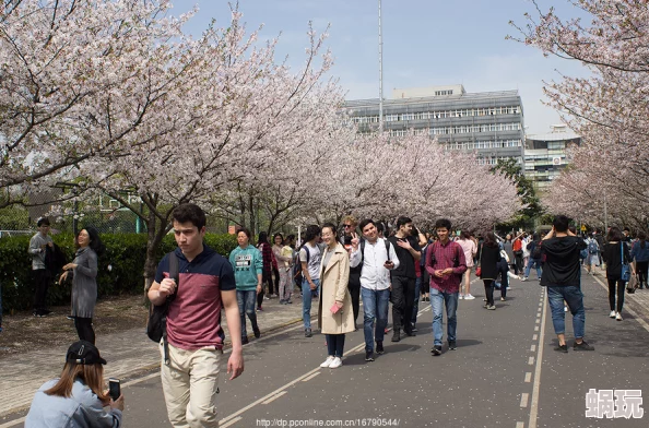 校园春色亚洲校园樱花盛开亚洲各国学生欢庆春天