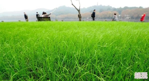 青草青草久热精品视频在线网站现已关闭请勿访问