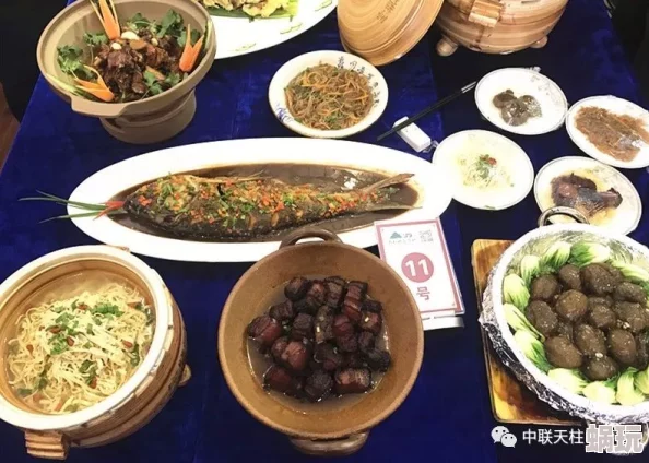 维斯塔的餐桌全新菜谱图鉴大揭秘：解锁美食新攻略与烹饪秘籍