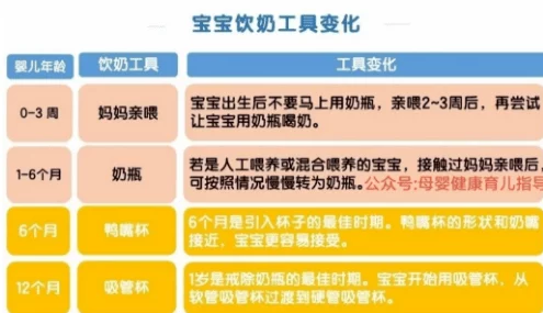 寻道大千：2024全新奶毒流玩法深度攻略与实战技巧解析