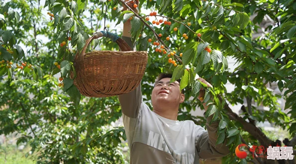 丝瓜黄瓜番茄榴莲草莓樱桃的营养价值与食用方法探究：从田间到餐桌，开启一场味蕾与健康的奇妙之旅