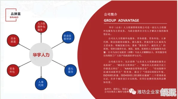 四海一商商会全面介绍及2024年最新培养攻略指南