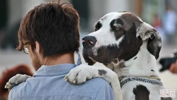 自己的第一次竟然给了一只狗狗结果发现是条得了狂犬病的流浪狗