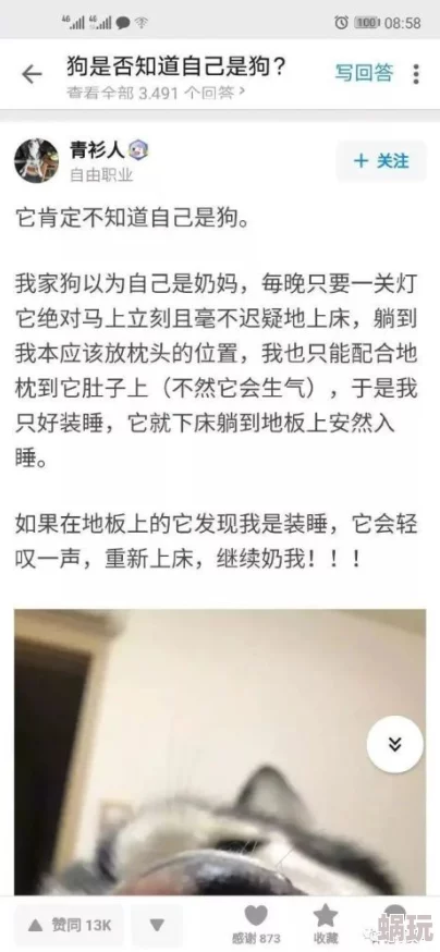 上将出行一般有多少警卫人员网友表示具体人数会根据实际情况而定通常在几人到十几人之间