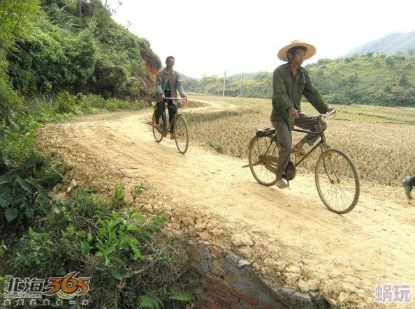 公和梦莹回乡下十一章两人在田间小路骑着自行车