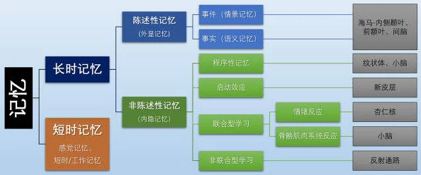 记得我探索记忆机制与身份认同在失忆症患者中的复杂关系