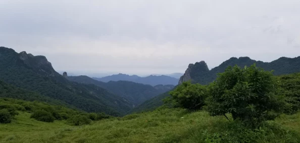 烟雨江湖体力恢复全面攻略：解锁高效方法与最新技巧介绍