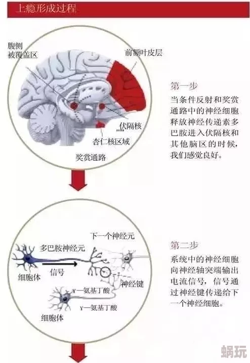 “污的黄色网站”传播非法有害信息危害身心健康败坏社会风气