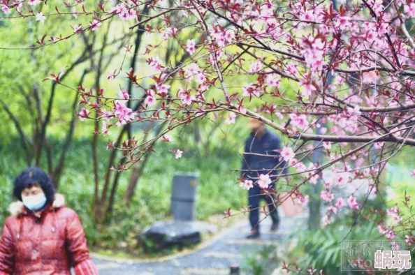 云雨春宵近日一场春雨滋润了大地花开正艳吸引了众多游客前来观赏