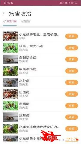 惠泽天下588hznet正版原料真伪难辨信息来源复杂需谨慎核实多方比对求证