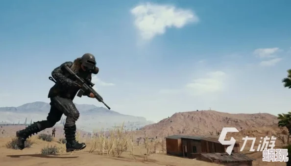 PUBG悲喜账号价值全面解析：新攻略助你精准估值与交易安全