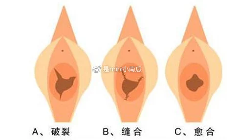 真实破女处高清播放资源已失效请勿轻信虚假链接