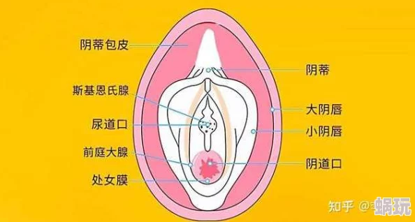 真实破女处高清播放资源已失效请勿轻信虚假链接