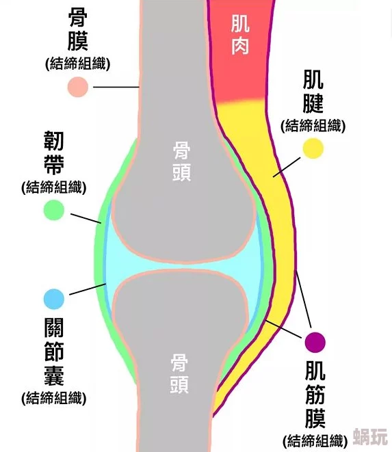 肌肌桶肌肌为何让人上头可能是它独特的音节组合带来了意想不到的娱乐效果