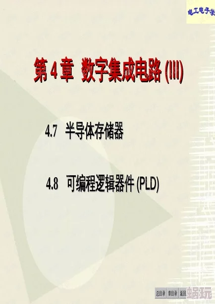 荷兰姓交大比赛录像回放 为什么技术精湛配合默契引人入胜为何精彩纷呈让人回味无穷