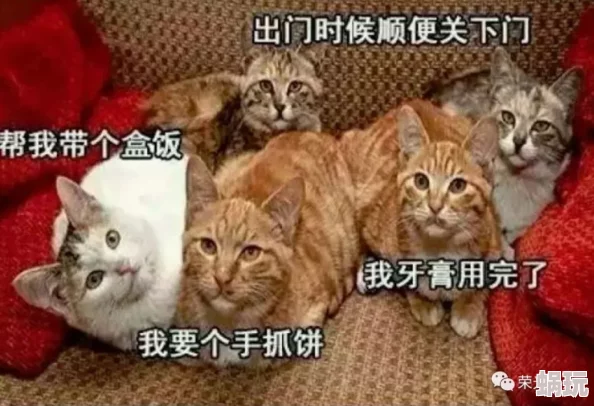 桃源深处有人家：宫猫轶事匠梦千秋活动全攻略与玩法深度解析