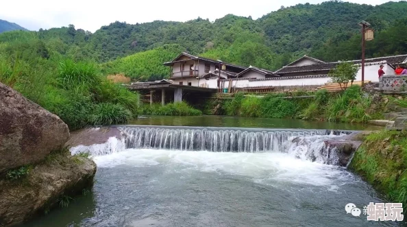 桃源深处有人家凝心静水布局新攻略：打造宁静雅居的巧妙设计与推荐方案