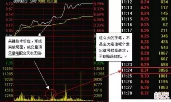 潜行者2：深入解析异常现象机制与高效探索新攻略