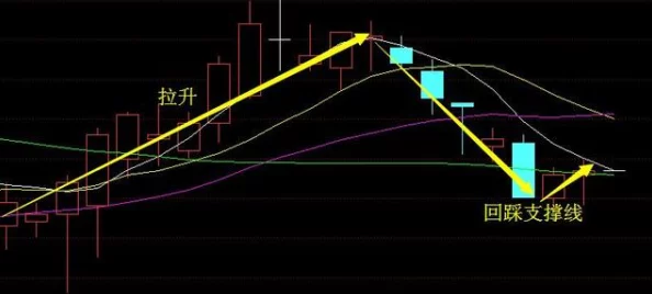 《旁观者2》深度攻略：掌握高效陷害技巧，揭秘不为人知的陷害策略与方法