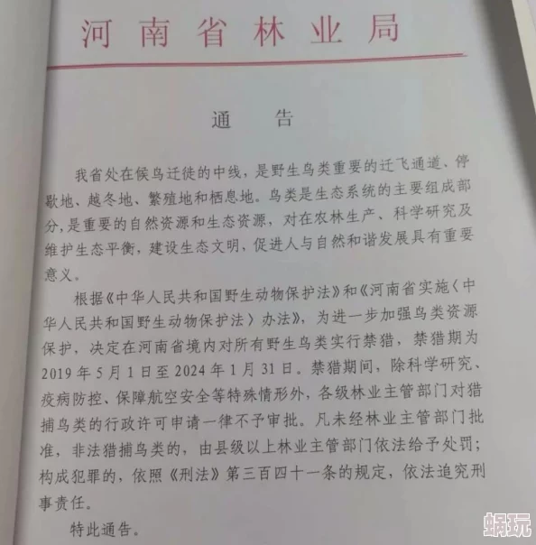 2024新攻略：怪物猎人系列中，哪款狙击武器最适合狩猎及详细解析