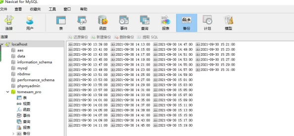 Navicat技巧：一键设置自动保存功能，提升数据管理效率 ｜ 数据库管理必备技能